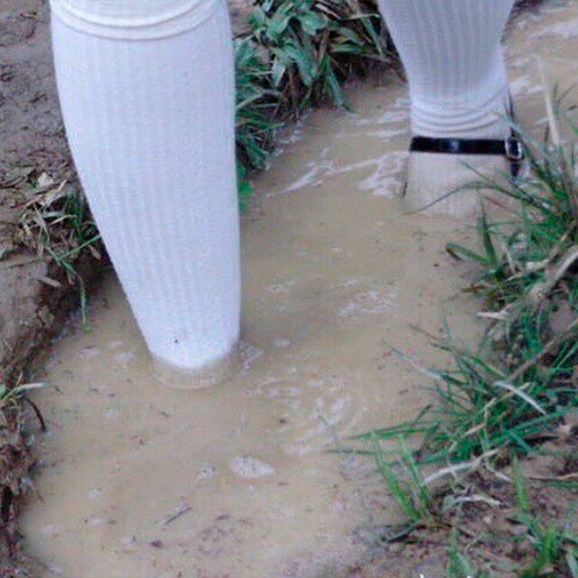ƷнжƷлвƷйв