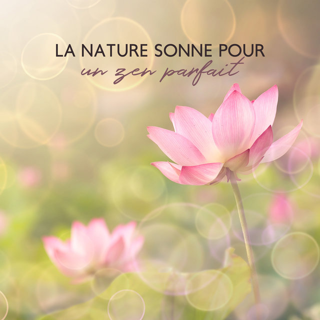 La nature sonne pour un zen parfait: La méditation curative de la nature, Les sons de la nature relaxants instrumentaux, Les magnifiques paysages sonores de la nature