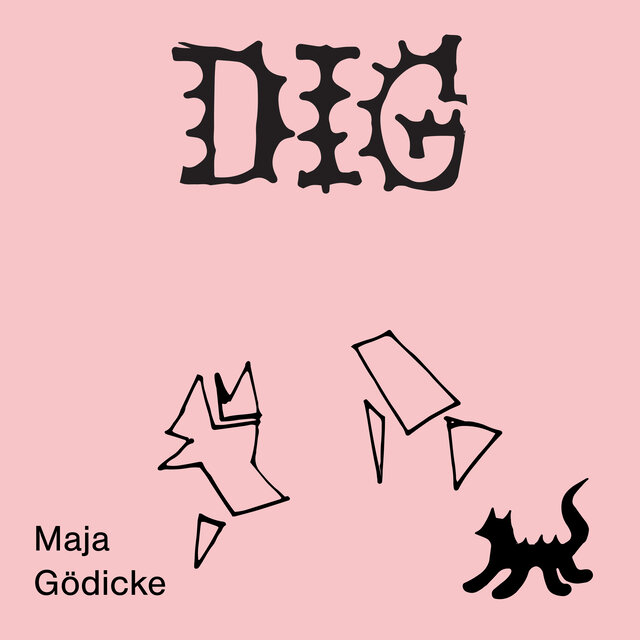 Dig