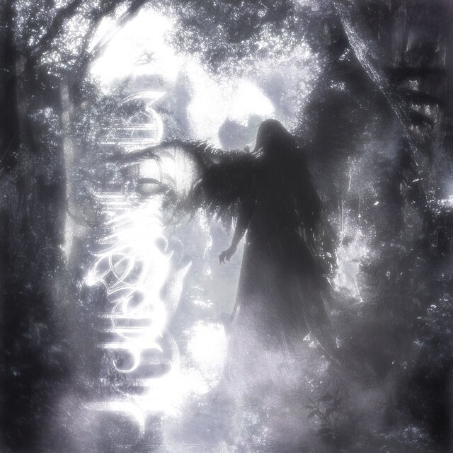 Celestial Wings