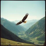 Wo die Berge Rufen