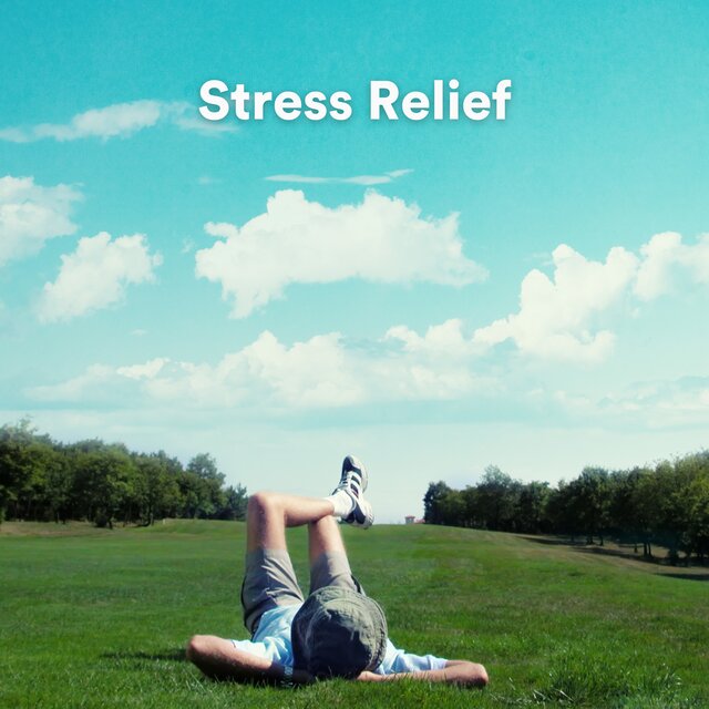 Stress Relief (Sounds for Self-Reflection, Kindness, and Stress Relief)