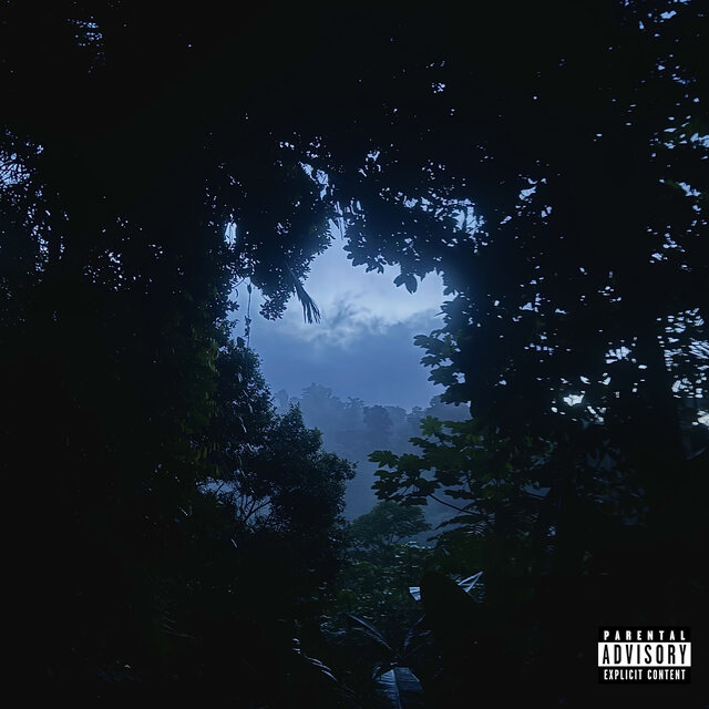 Smoke n Vapor