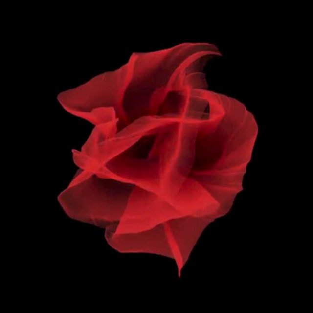 La fleur (Fundación Josep Carreras Documental Original Soundtrack)