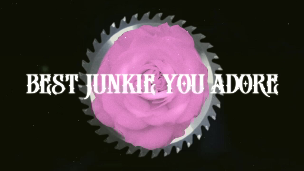 Best Junkie You Adore