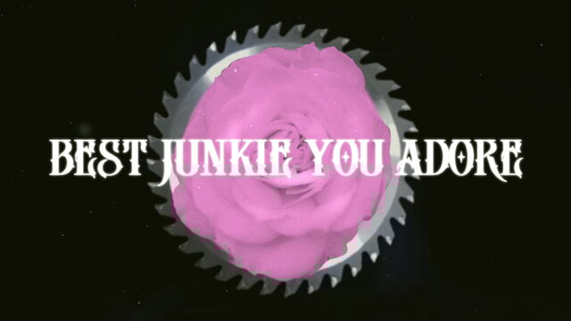 Best Junkie You Adore