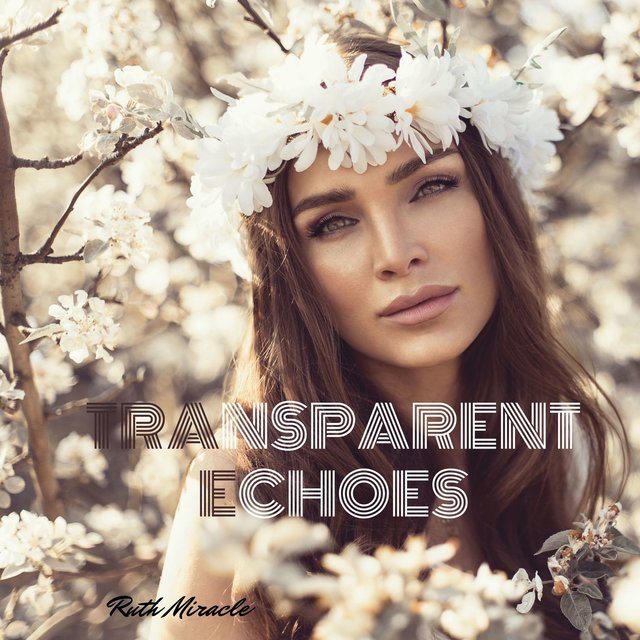 Transparent Echoes