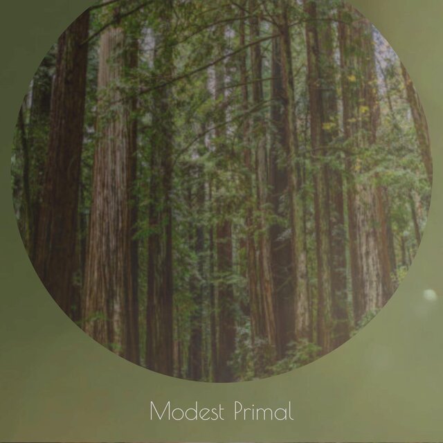 Modest Primal