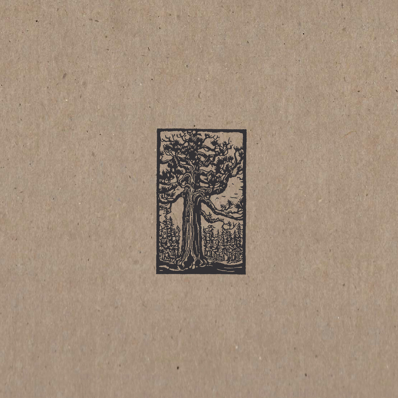 Sequoia cover