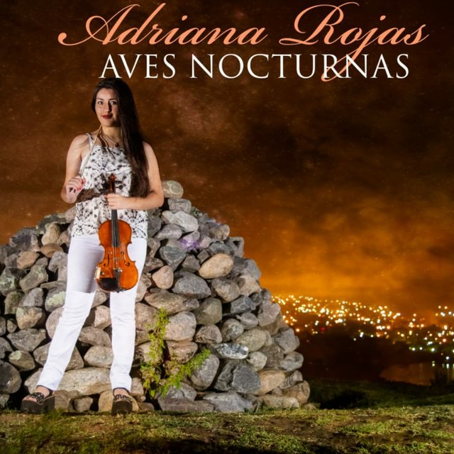 Aves Nocturnas