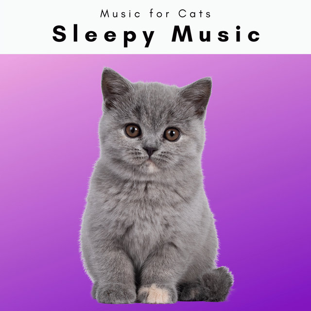 4 Cats: Sleepy Music