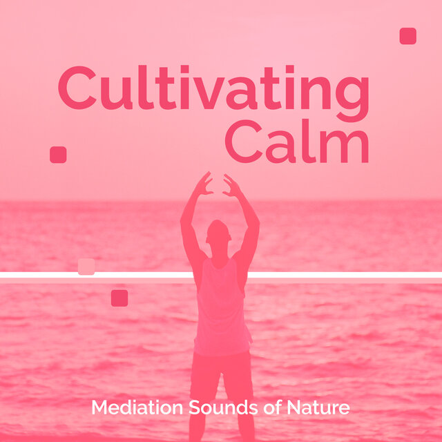Cultivating Calm