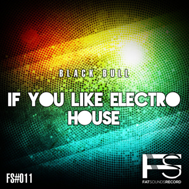 If You Like Electro House