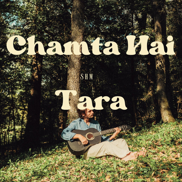 Chamta Hai Tara