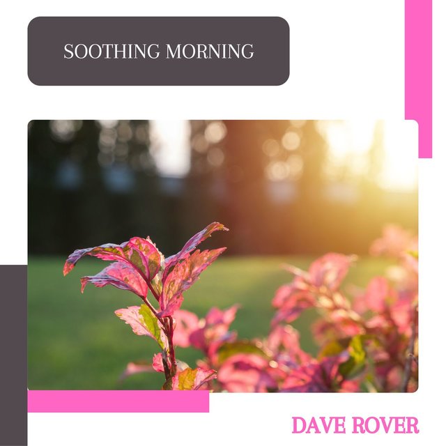 Soothing Morning