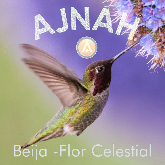 Beija-Flor Celestial