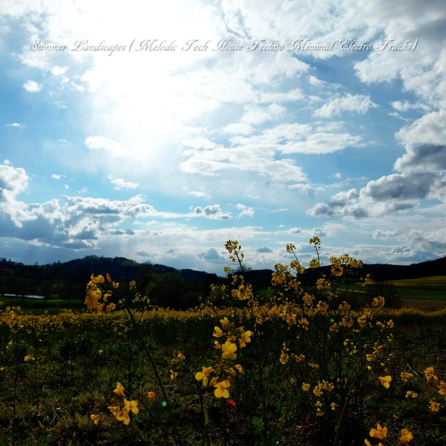 Summer Landscapes (Melodic Tech House Techno Minimal Electro Tracks)