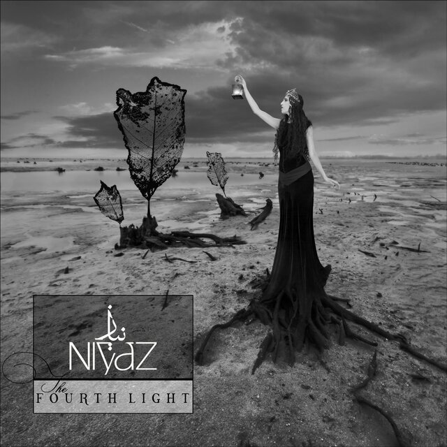 Niyaz on TIDAL