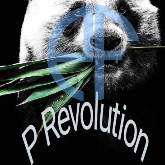 P Revolution