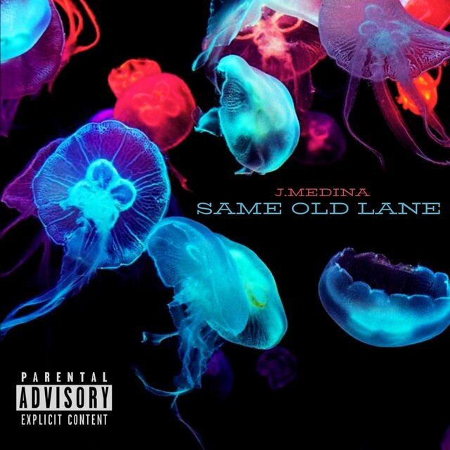 Same Old Lane