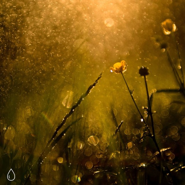 Rain Sounds Loopable Rain