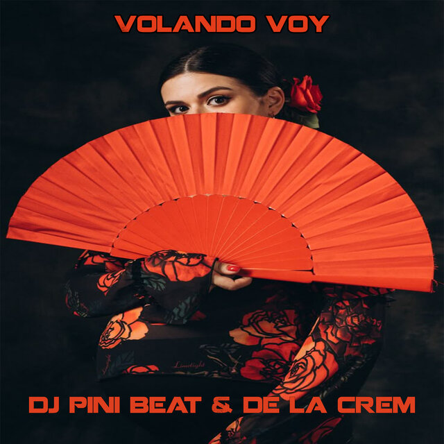 Volando Voy
