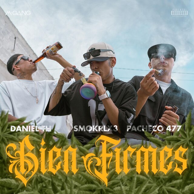 Bien Firmes
