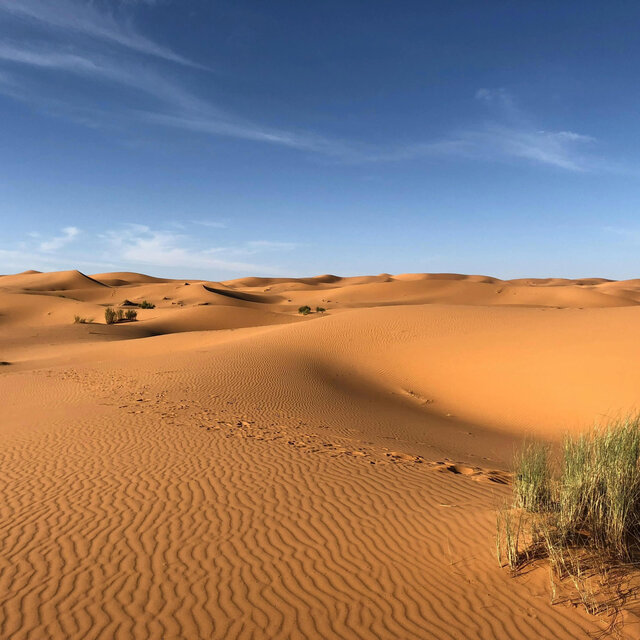 SAHARA