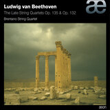 String Quartet No. 15 in A Minor, Op. 132: III. Molto adagio