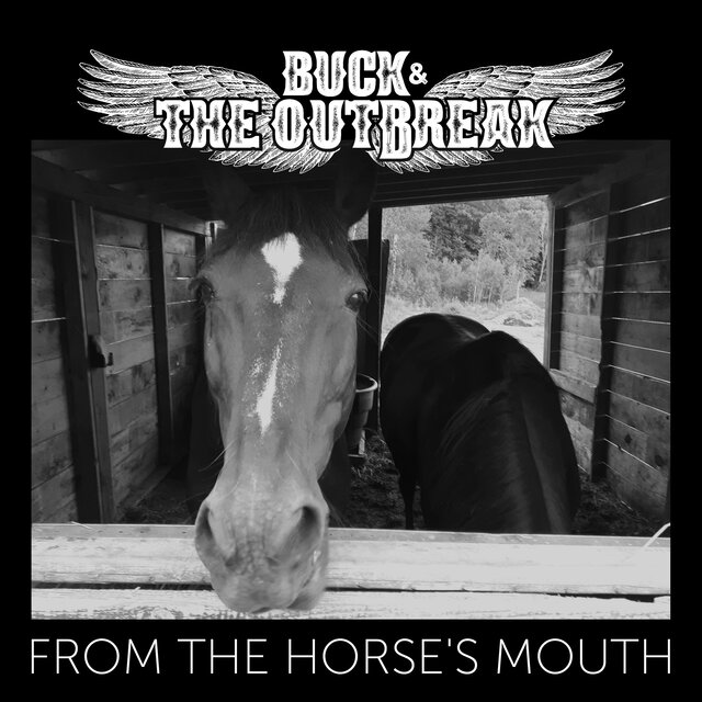 From the Horse's Mouth