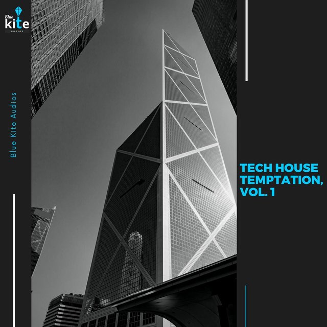 Tech House Temptation, Vol. 1
