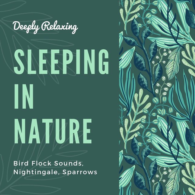 Sleeping in Nature: Bird Flock Sounds, Nightingale, Sparrows, Deeply Relaxing