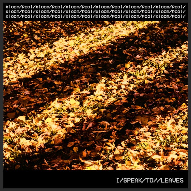 I Speak to Leaves