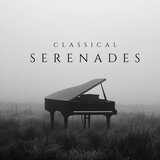 Serenade in D major, K. 320: VII. Finale. Presto