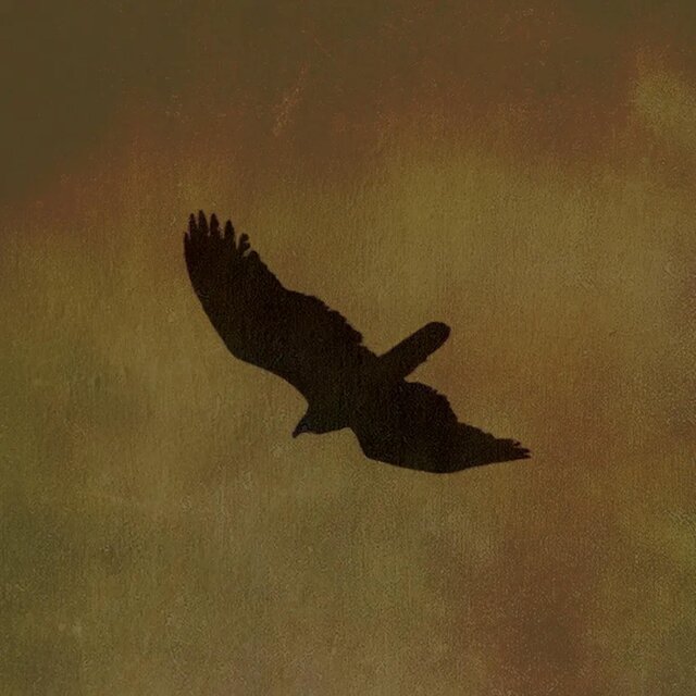 Fly Away