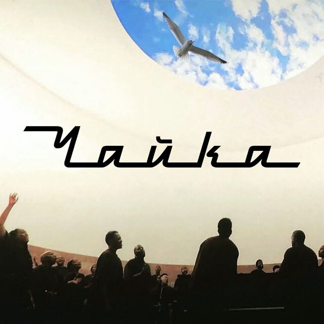 Чайка