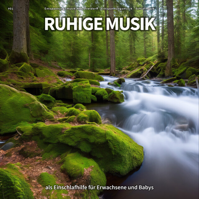 #01 Ruhige Musik als Einschlafhilfe für Erwachsene und Babys