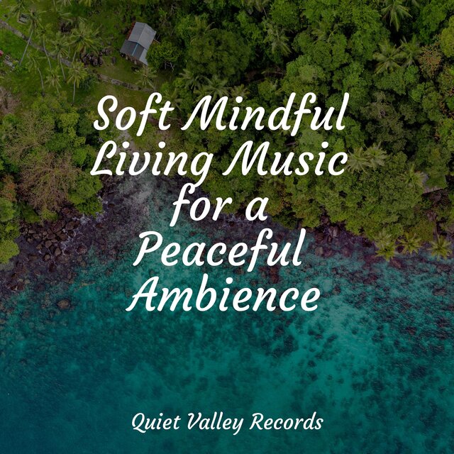 Soft Mindful Living Music for a Peaceful Ambience