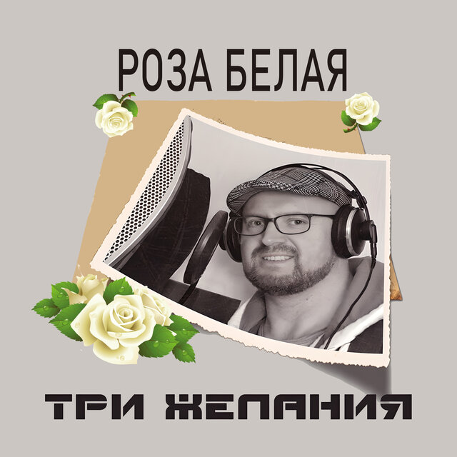 Роза белая