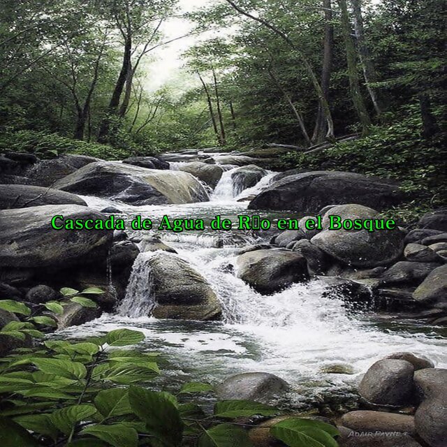 Cascada de Agua de Río en el Bosque