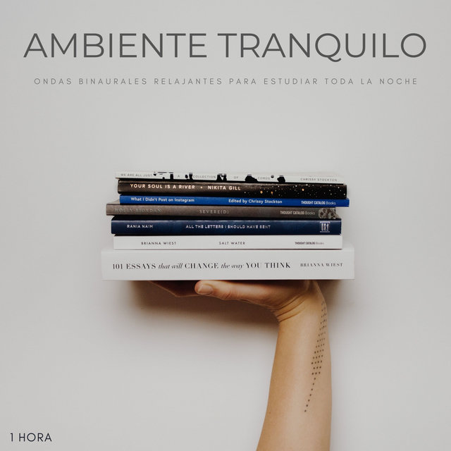 Ambiente Tranquilo: Ondas Binaurales Relajantes Para Estudiar Toda La Noche - 1 Hora