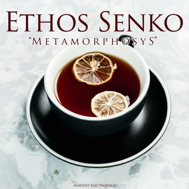 Metamorphosys
