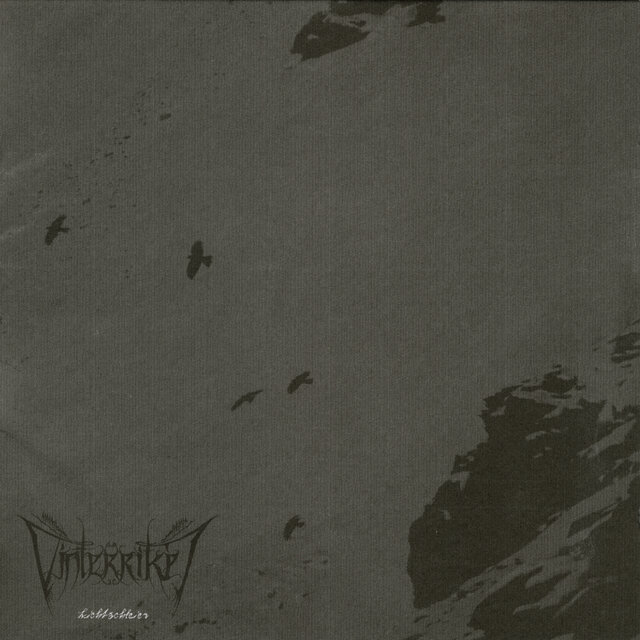Cover art for album Lichtschleier by Vinterriket