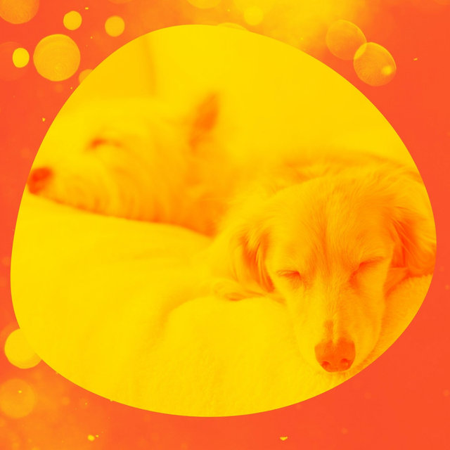 Music for Doggy Naptime (Acoustic Guitar)