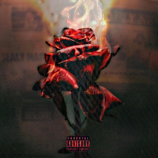 Burning Rose