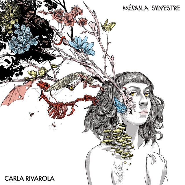 Médula Silvestre