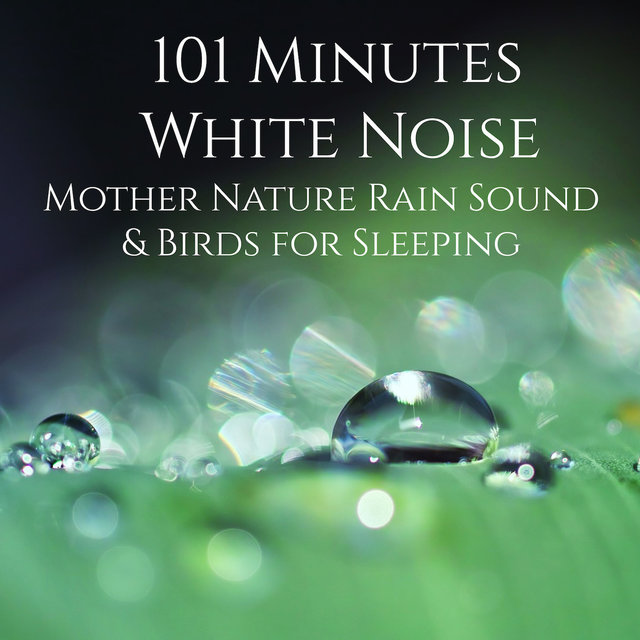 101 Minutes White Noise Mother Nature Rain Sound & Birds for Sleeping