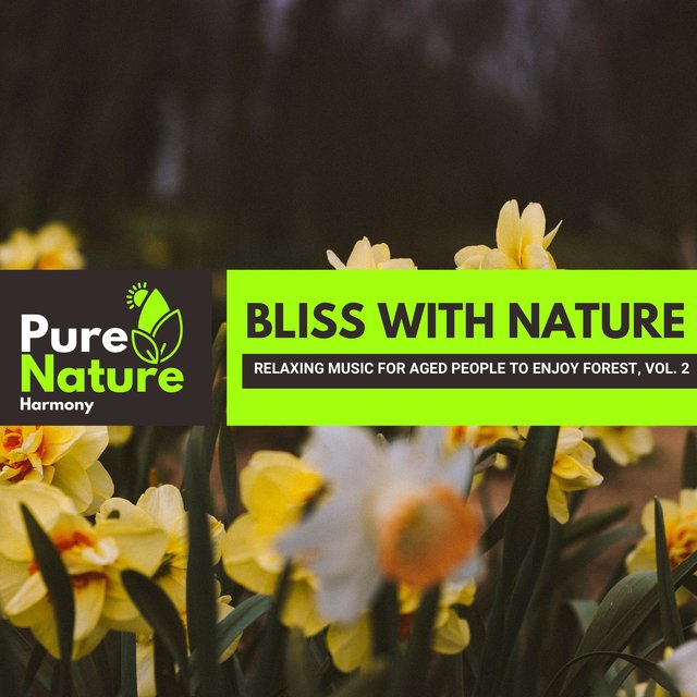 Bliss with Nature - Relaxing Music for Aged People to Enjoy Forest, Vol. 2