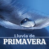 Optimista y Positivo