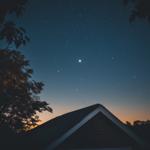 Lonely Star